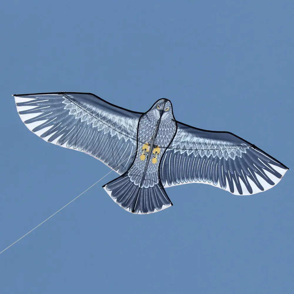 NEW Arrive Outdoor Fun Sports  59 Inch Eagle Kite With Handle And Line For Kids Or Adults Good Flying 2