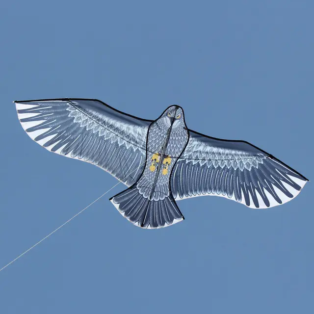 NEW Arrive Outdoor Fun Sports 59 Inch Eagle Kite With Handle And Line For Kids Or Adults Good Flying 2 NEW Arrive Outdoor Fun Sports 59 Inch Eagle Kite With Handle And Line For Kids Or Adults Good Flying 2