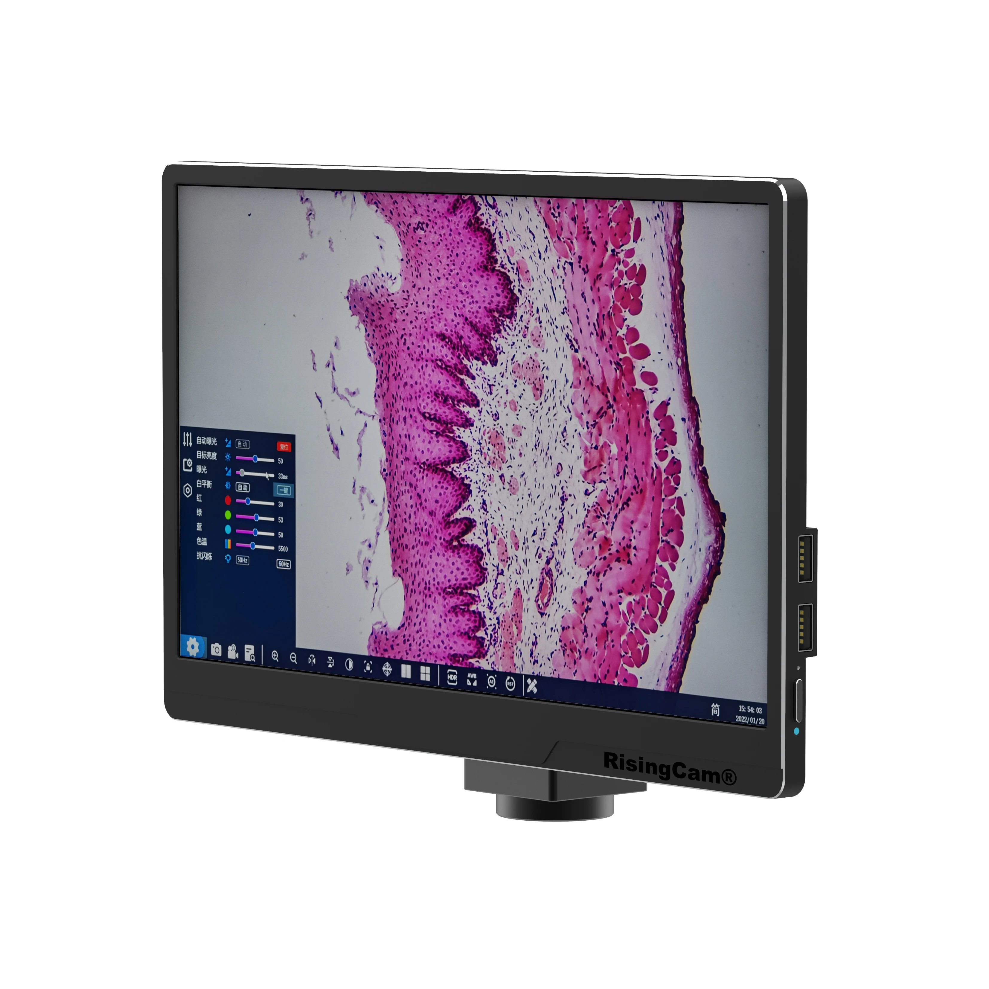 Rising Cam LCD HD 스크린,  imx334 CMOS 센서 디지털 현미경 카메라, 스크린 포함, 4K, 30fps, HDMI 및 USB 출력, 11.6 인치