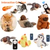 Rechargeable Flying Bird Cat Toy Interactive Cat Toys Chirping Flapping Bird(no Flying) Can Add Catnip Touch Activated Plush Toy 1