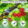 Garden Net Protects Plants with Durable Garden Protection Nets From Birds and Poultry Garden Plant Climbing Nets Gardening Tools 3