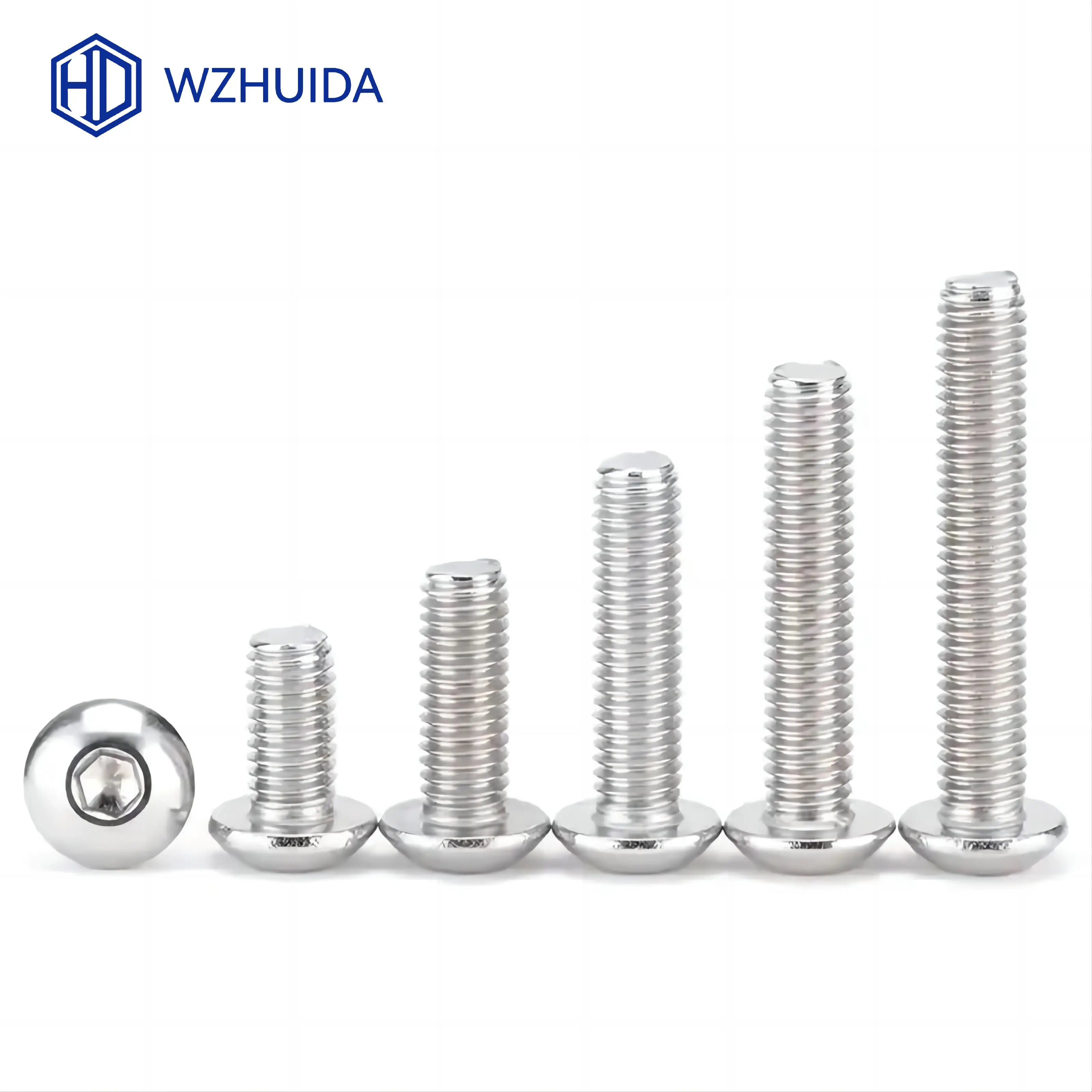 Hex Socket Screw Hexagon Socket Button Head Cap Screw M2 M3 M4 M5 M6 M8 M10 Allen Bolts ISO7380 A2-70 Stainless Steel