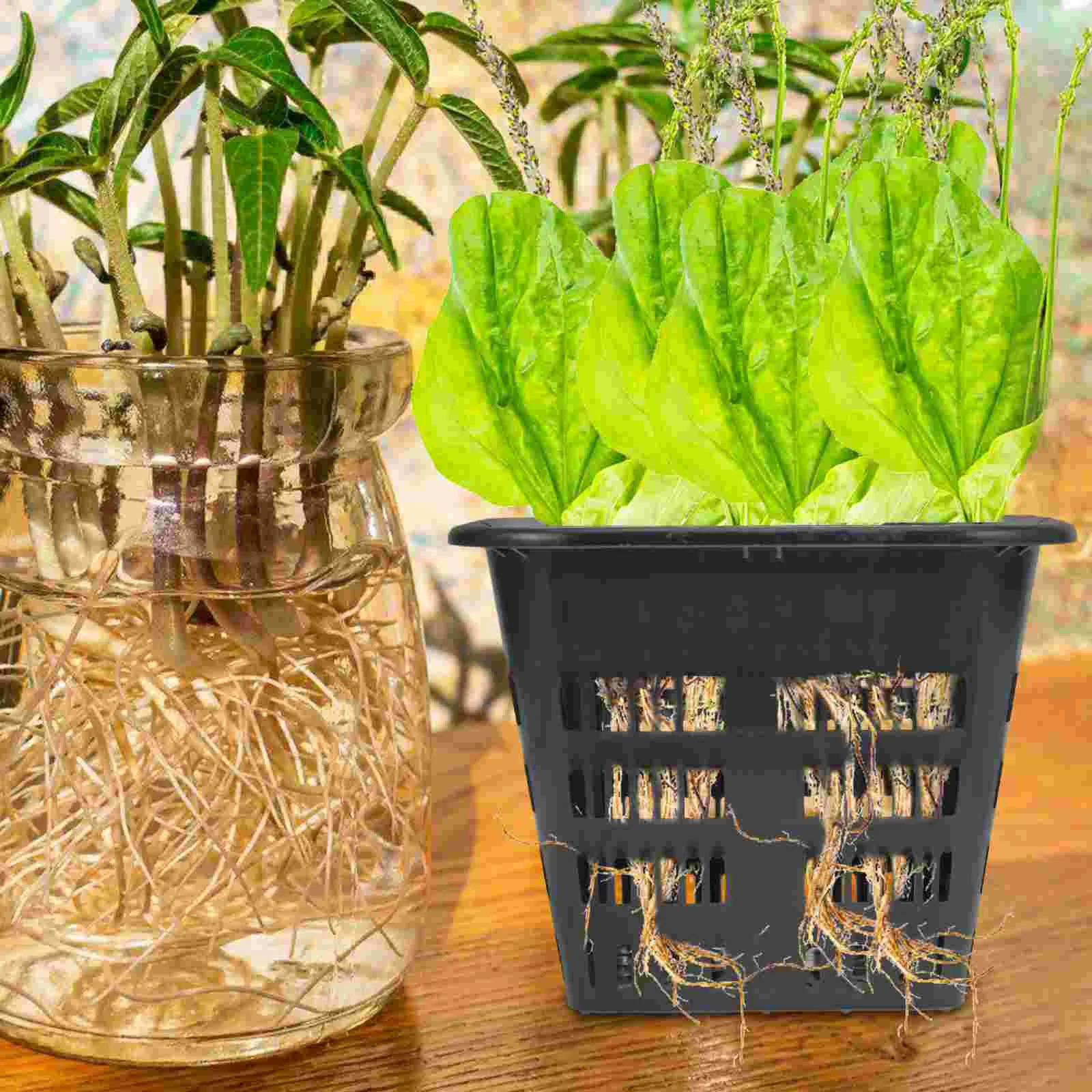 50 Cestini Per Piante Idroponiche In Plastica PP - Vasi A Rete Riutilizzabili 3,2x3,7 Cm Per Coltivazione Fuori Suolo Di Verdure