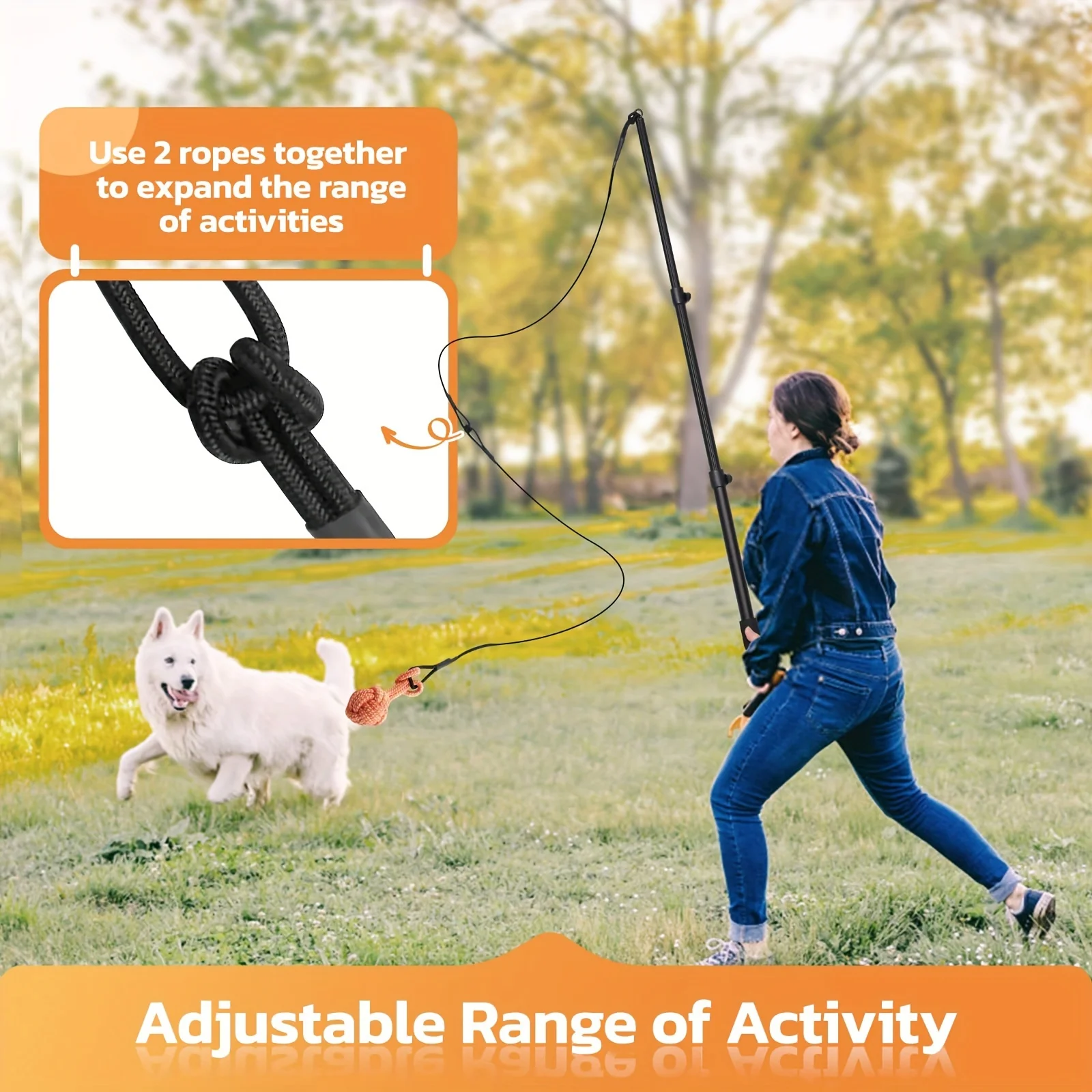Interactive Dog Flirt Pole 5