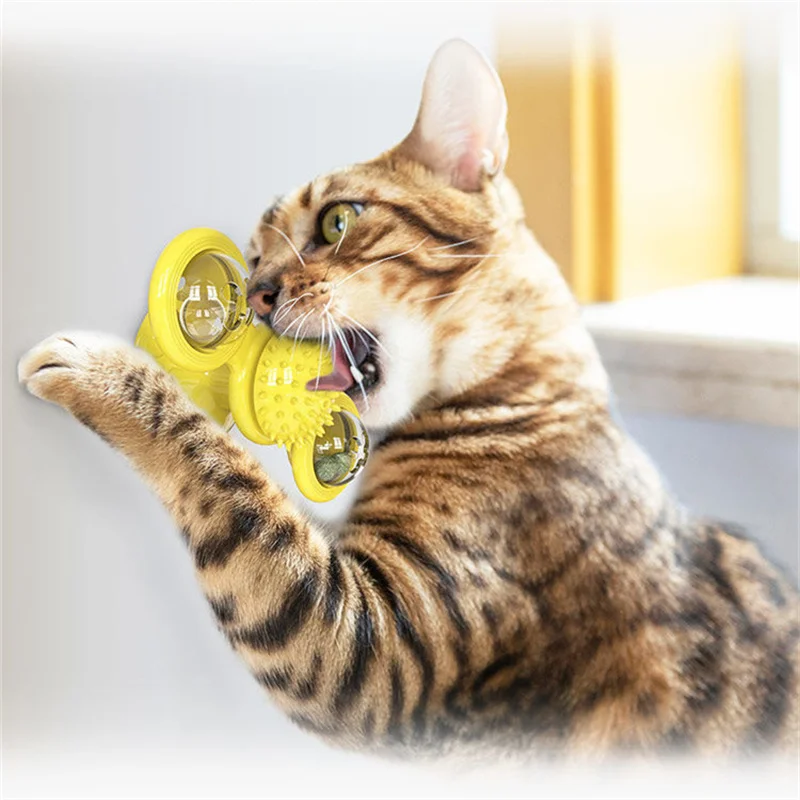 https://ae01.alicdn.com/kf/S45bd86ceb8fa4ef7a13d2ed1cd5ae2c4O/Funny-Cat-Toy-Spinning-Windmill-with-LED-Ball-Catnip-Scratch-Hair-Brush-Intelligence-Training-Suction-Cup.jpg