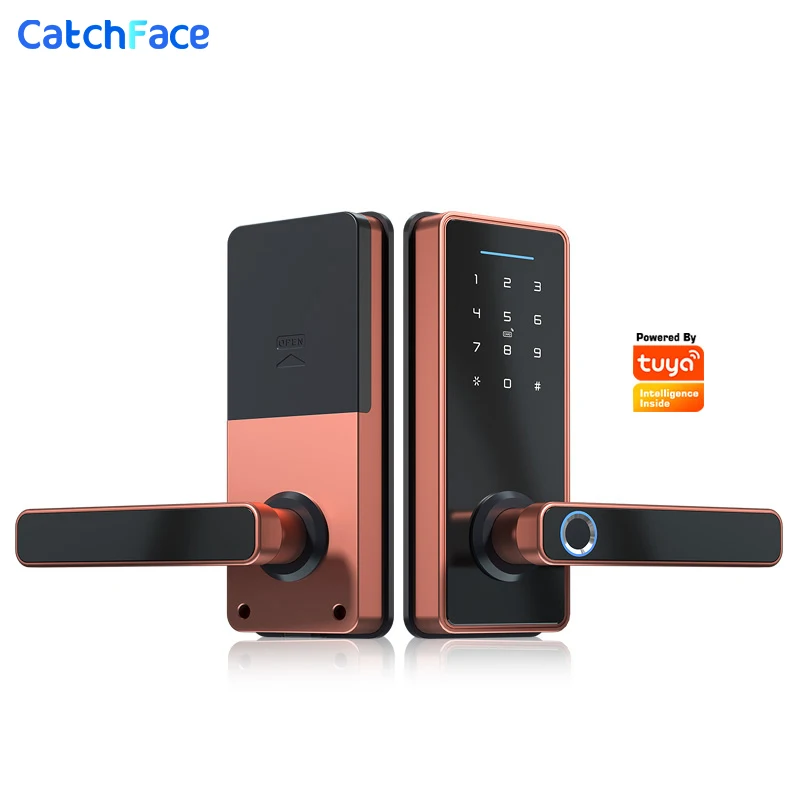 

New Tuya Smart Life APP WIFI Fingerprint Door Lock IC Card Digital Code Electronic Reader Home Security Mortise