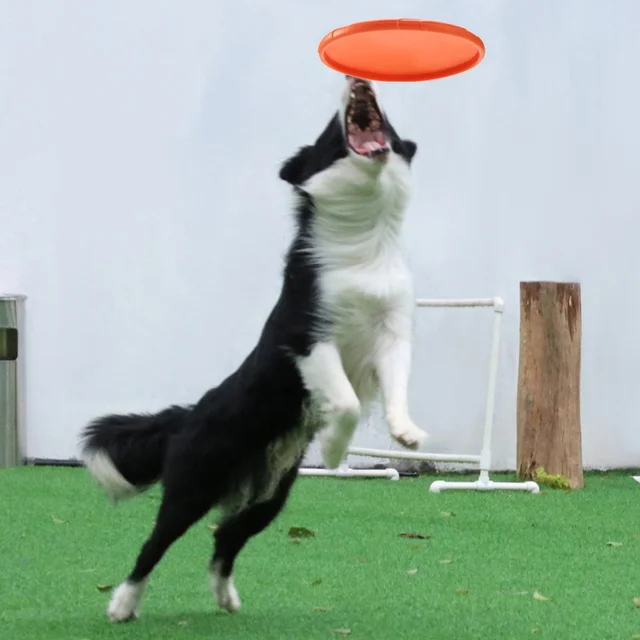 Silicone Flying Saucer Funny Dog Cat Toy Dog Game Flying Discs Resistant Chew Puppy Training Interactive Pet Supplies 5
