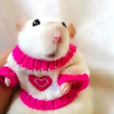 Hamster Clothes Accessory Cute Chipmunk Sugar Glider Weasel Hedgehog Chinchilla Long Sleeve Sweater Clothes Pet Supplies ZA244