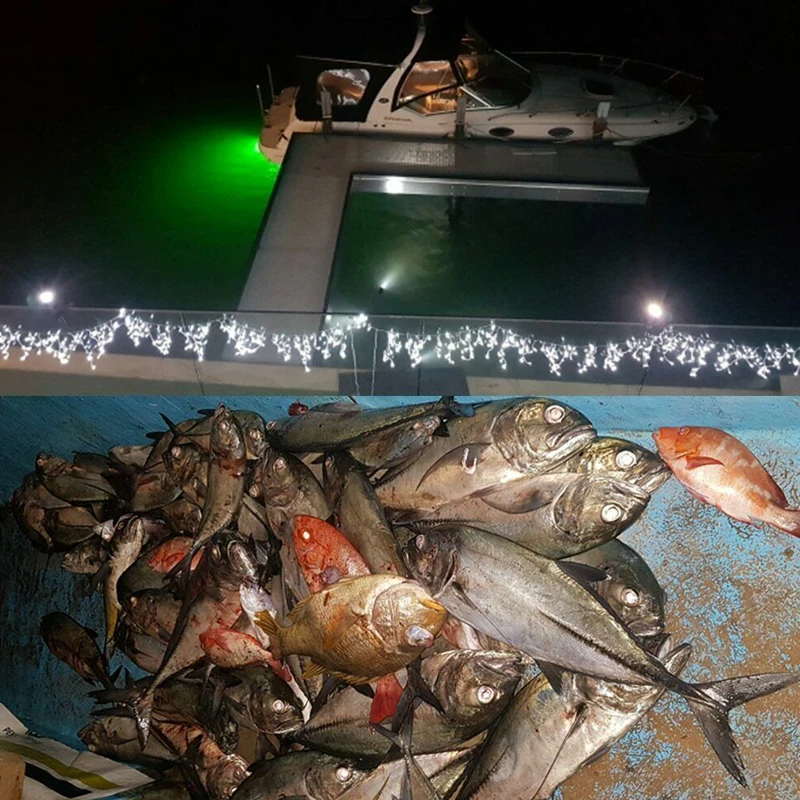 Underwater Fishing Light Flashing Bait For Saltwater Freshwater