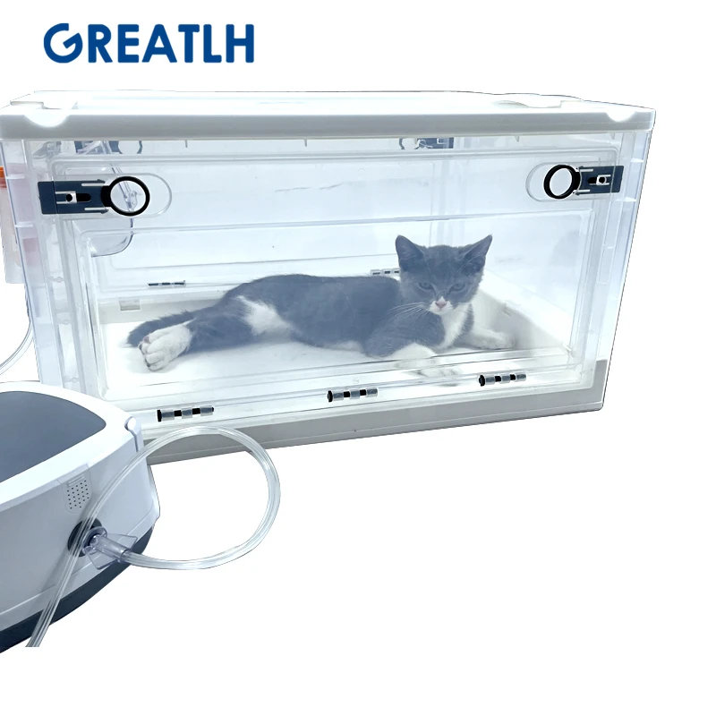 Veterinary Oxygen Cage | Animal Atomization Box | Oxygen Box Pets |  Veterinary Products - Pet Surgical Instruments - Aliexpress