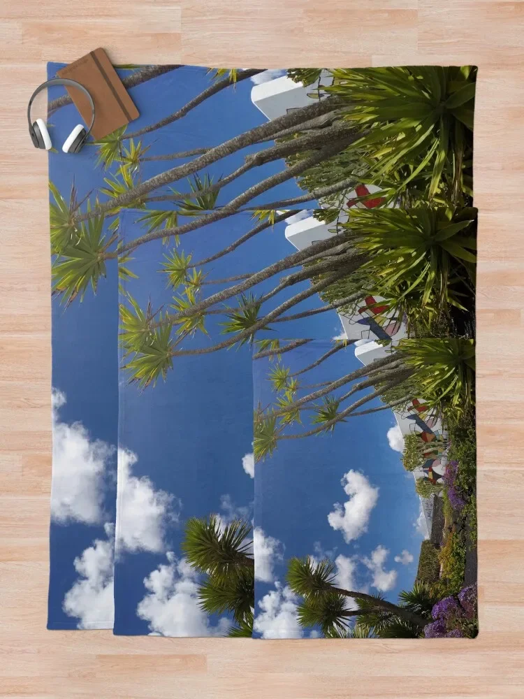 Cesar Manrique Fundacion ��ȭ �� ���� ������ ���, �ڽ����� �ִϸ��̼� �ö��� ���� ���