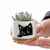 Black Cat Patterned Ceramic Flowerpot with Tray for Home Office Decor Gift for Plant Lovers Family Friend (excluding Plants) 2