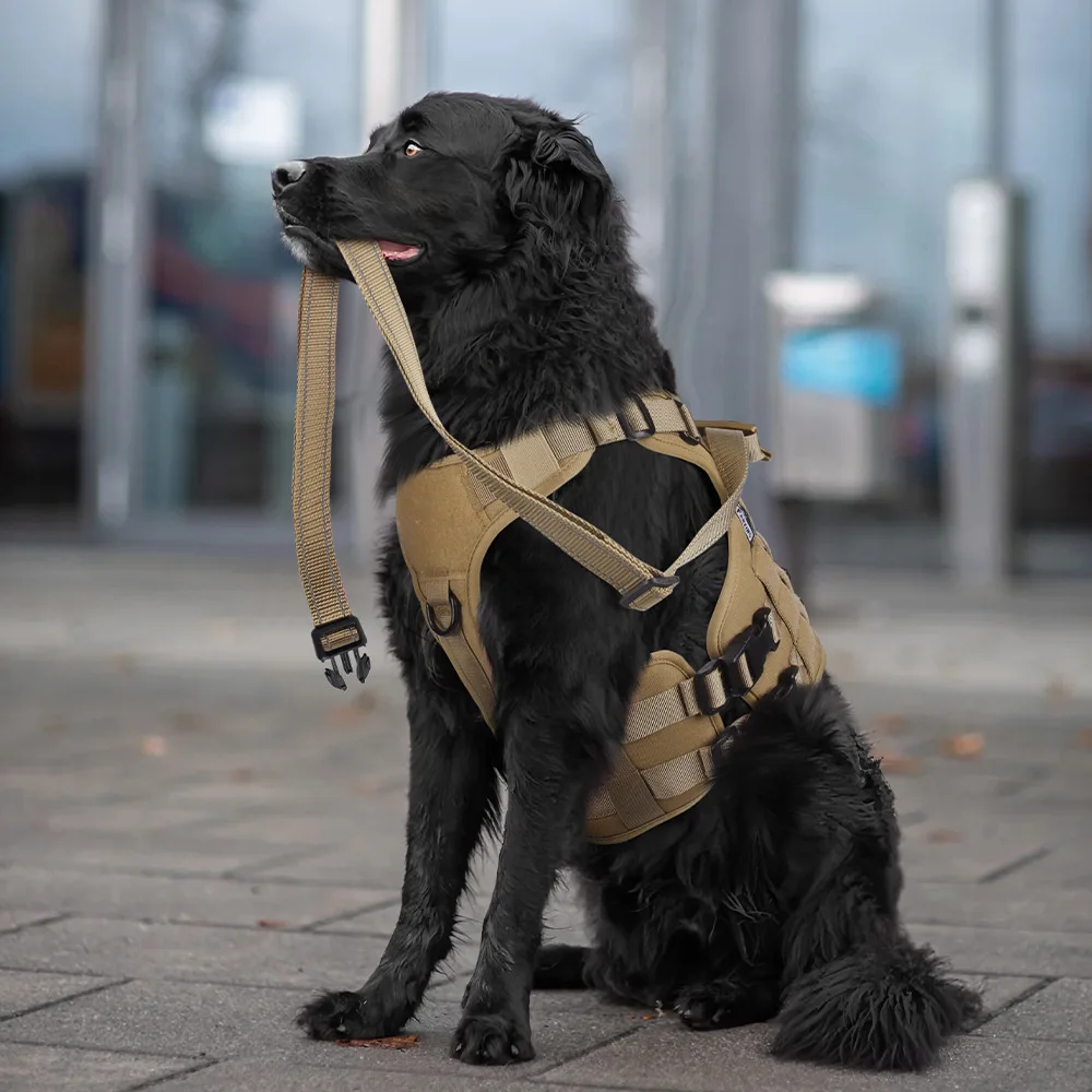 1PC Tactical Military Vest Pet German Shepherd Golden Retriever