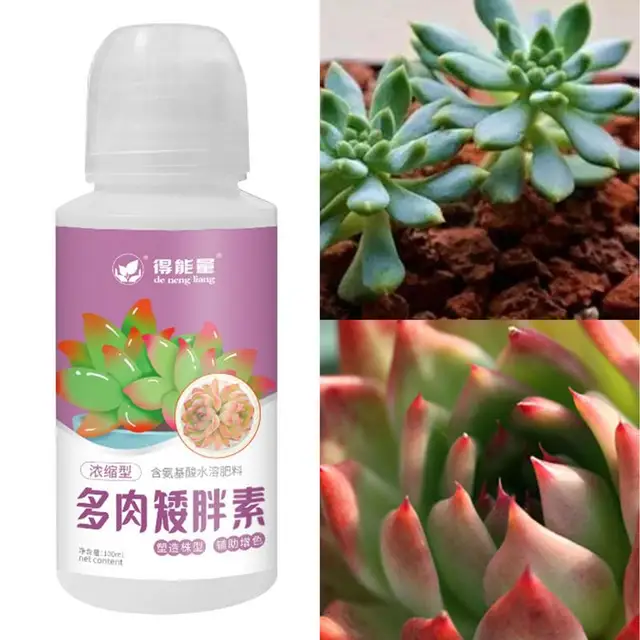 Gyökér Stimulátor Növények Univerzális Tápanyagok Növényi Kert Hozam Gyors Gyökérzet Extra Organikus Szobanövény - Image 5