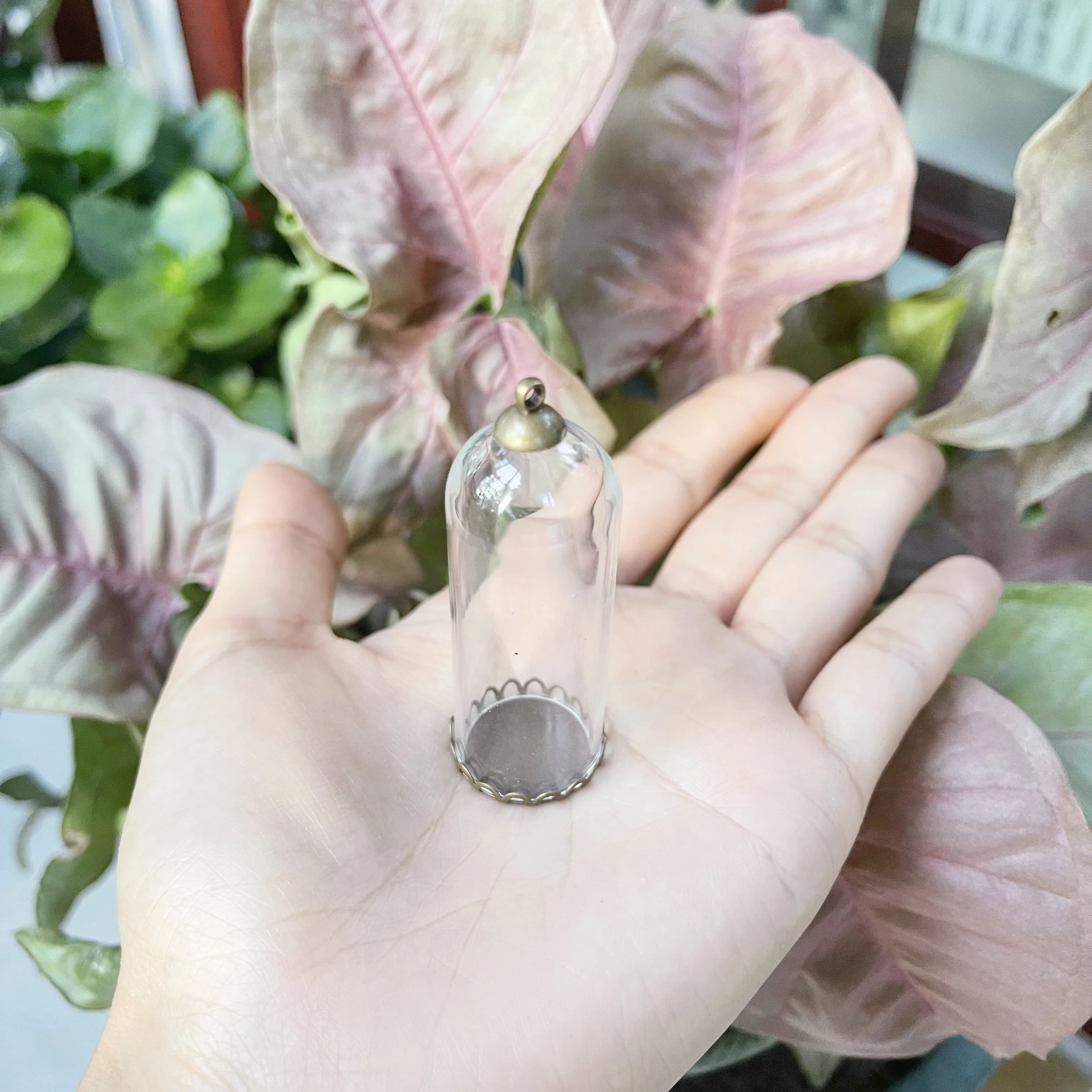 5/8/10X 50x20mm Clear Tube Bell Jar Glass Cover Dome Glass Vial Pendant Lace Base Home Room Table Display Decor Flower Ornaments 5
