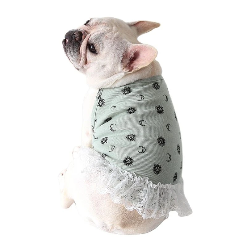 How To Dress French Bulldogs
