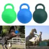 Equine Play Ball Anti Burst 25cm Horse Dogs Soccer Ball Herding with Handle 3