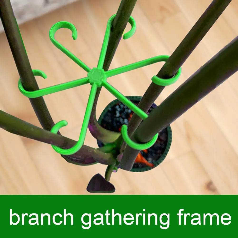 Plant Stem Support Alocasia Monstera Leaf Support Vine Clips For Climbing Plants To Grow Upright And Make Healthier plant stem support