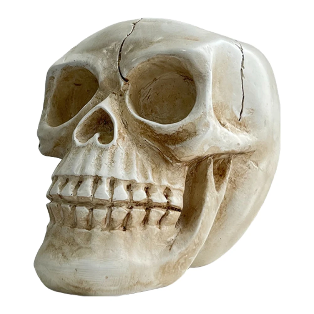 Resin Skull Ornament Succulent Plant Pot Skull Flower Pot Skull Head Model Flower Planter Container Home Decor Crafts