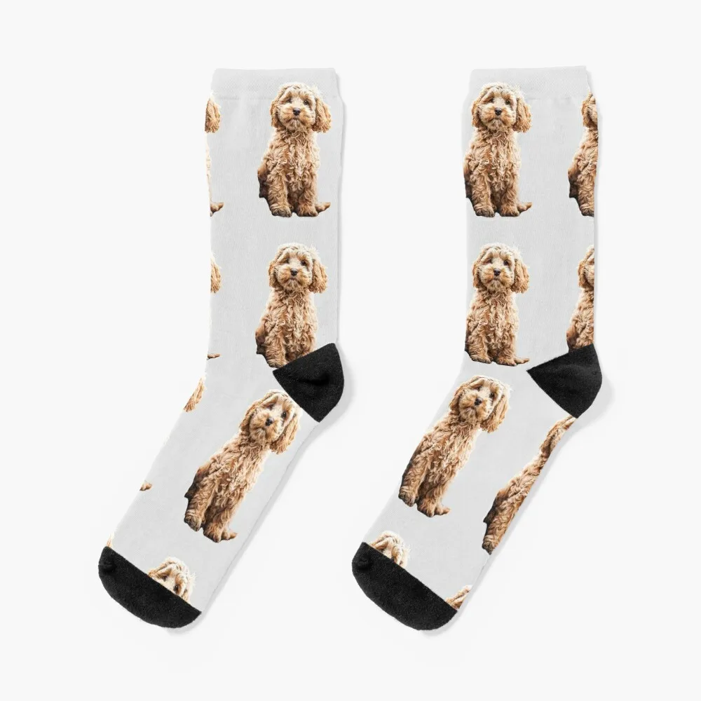 Cockapoo Cavoodle Labradoodle Cute Puppy Dog- Poodle x Socks hiphop hiking christmas gifts Socks For Women Men's