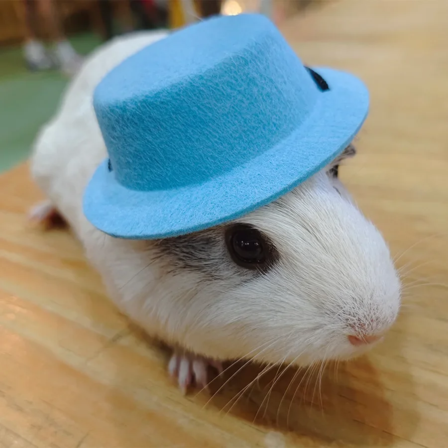 Guinea Pig Hat and Bowtie Hamster Costume Outfit Rats Chinchilla Cool Pet Rabbit Cap Hat Small Pet Items Accessories ハムスター small animal clothes pet headgear hamster supplies