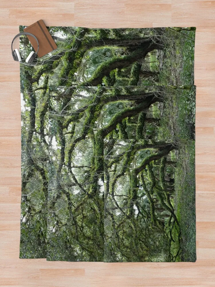 �˼� ������ ���, ħ�� Ŀ��, ��Ƽ�� ���