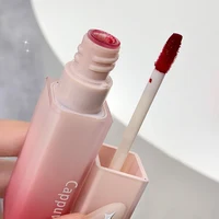 Cappuvini Nude Water Mist Lip Glaze Matte Velvet White Lip Gloss Long-lasting Lipstick 2