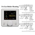 Gas Boiler.White