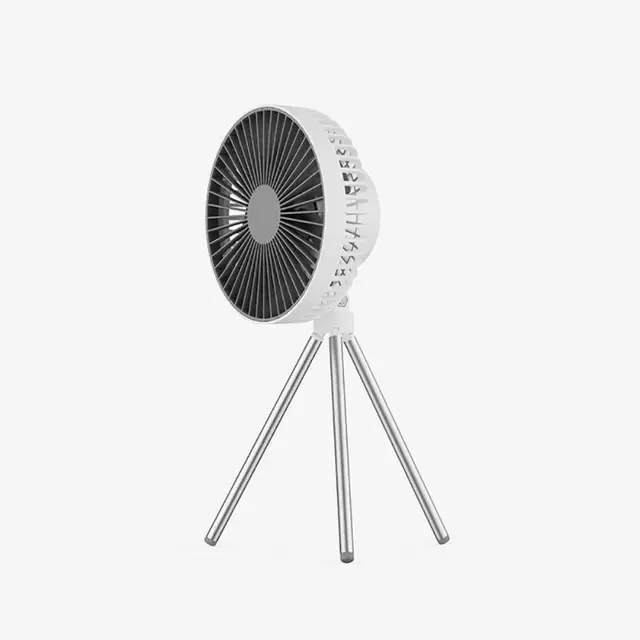 01 Fan
