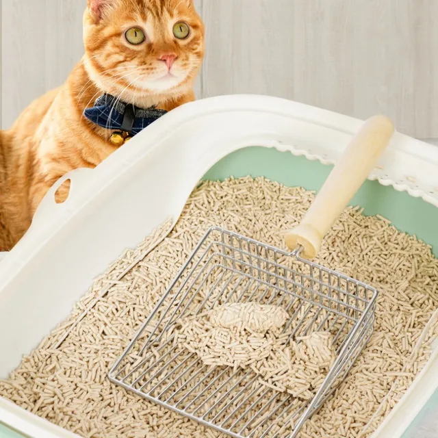 Cat Litter Shovel Stainless Steel Sand Scoop for Cats Toilet Cleaning Tools Metal Wooden Handle Cat Litter Scoop Pet Supplies 3