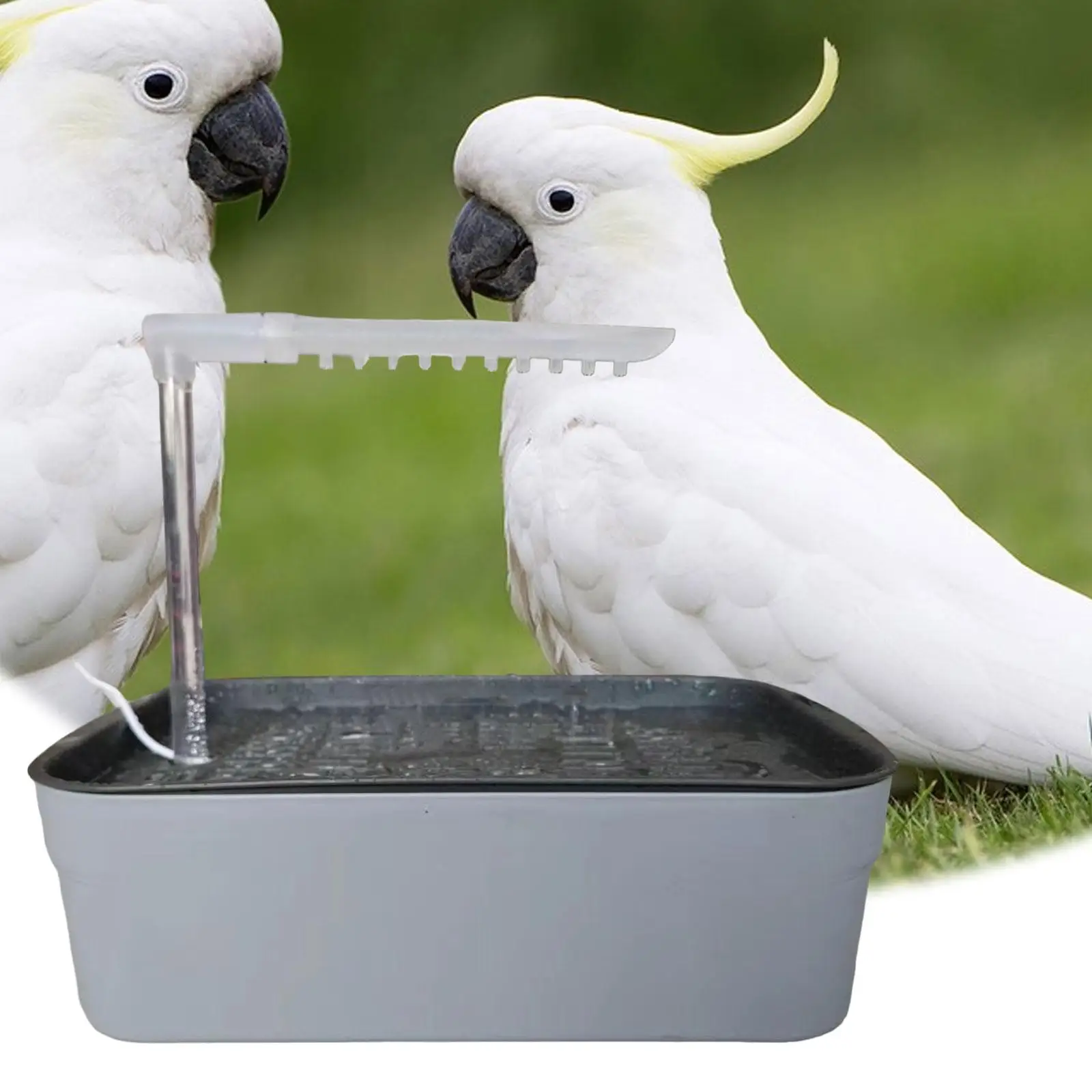 Automatic Pet Bird Bath with USB Cable Easy to Clean Parrot Bathtub for Cockatiel African Grey Water Bowl Lovebirds Budgie 4