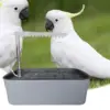 Automatic Pet Bird Bath with USB Cable Easy to Clean Parrot Bathtub for Cockatiel African Grey Water Bowl Lovebirds Budgie 4