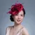 Women Chic Fascinator Hat Cocktail Wedding Party Church Headpiece Kentucky Headwear Feather Hair Accessories Sinamay Fascinators 12