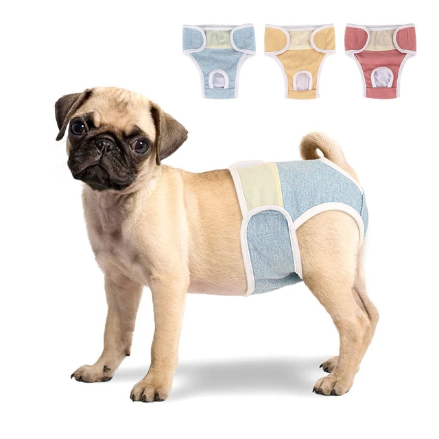 Pet Female Dog Diapers Puppy Pants Pet Underwear Dog Physiological Diaper  Dogs Sanitary Panties Shorts Pet Accessories Blue Red - AliExpress