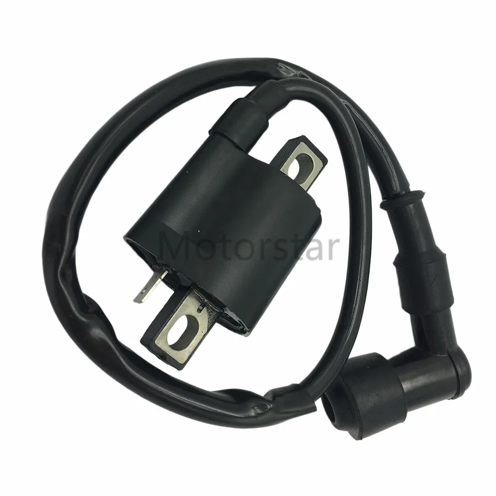 Bobina Di Accensione Per Polaris Trail Boss Xpess 250 330 Euro 350L Xpedition 425 Magnum 500