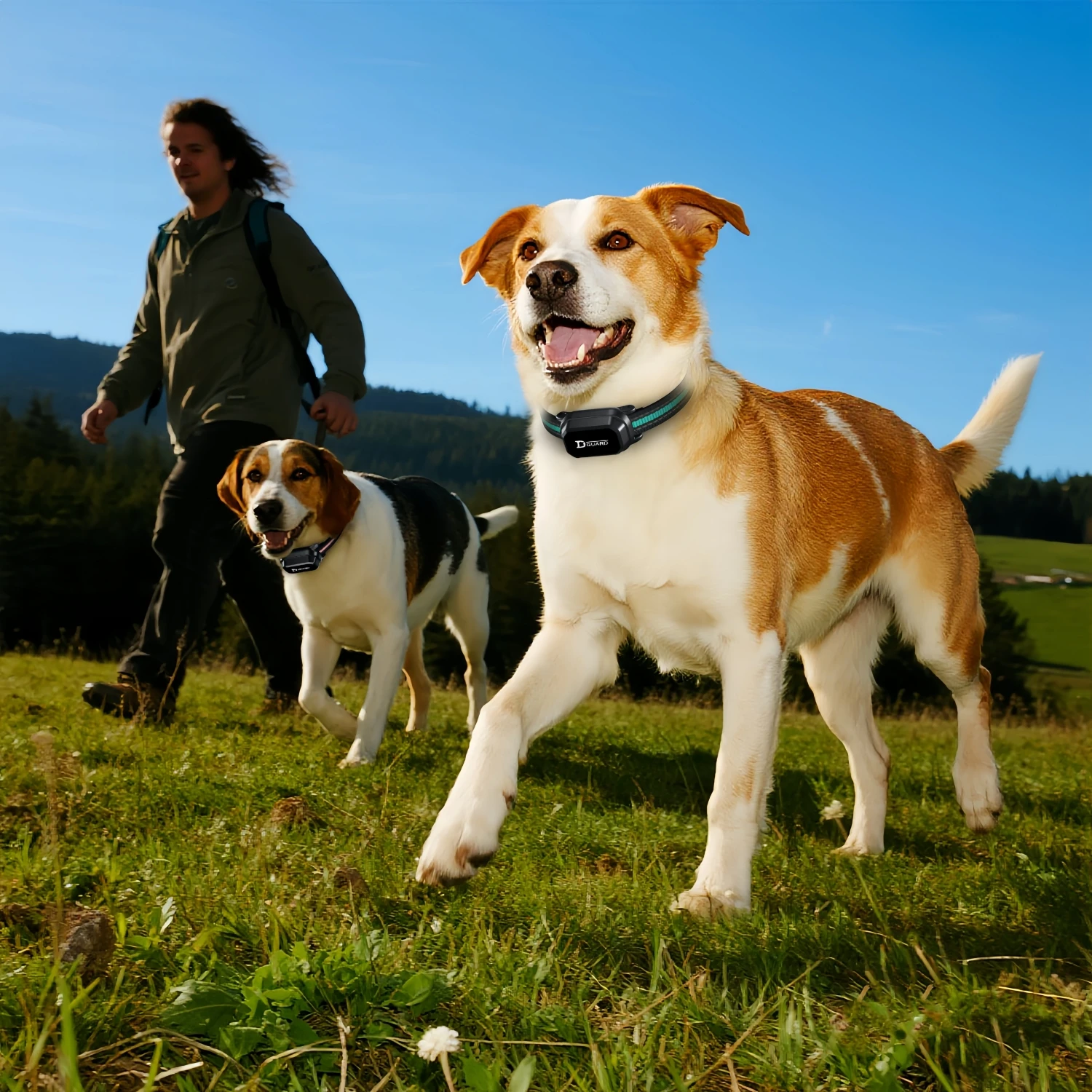 Waterproof Anti Barking Dog Collar Rechargeable Training Device_voghion.com