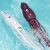 Robot Fish Electronic Penguin Robotic Dolphin Sea Lion Octopus Electric Animals In Water Swimming Pool Baby Bath Toy Kids Gift 3
