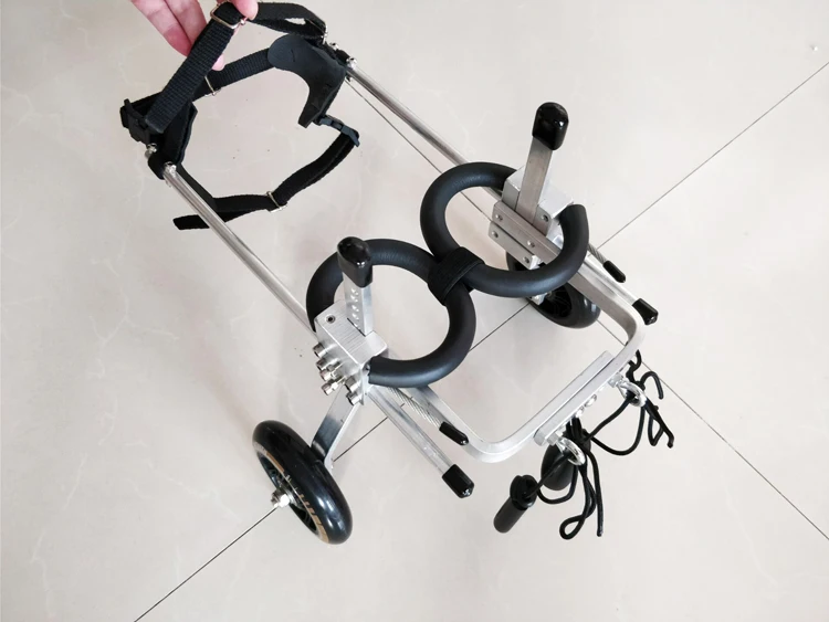 Cat wheelchair paralyzed cat scooter disabled cat assisted hind limb exercise car broken leg dog pet car pet wheelchair