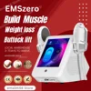 EMS Body Slim Stimulate EMSzero Fat Removal Eletric Sculpt Muscle Machine Hi-emt RF Weight Lose Portable Two Handle 1