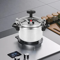 Petit Autocuiseur 3L avec Soupape de Sécurité, Autocuiseur Pratique, Marmite Polyvalente pour la Cuisine à Domicile 2