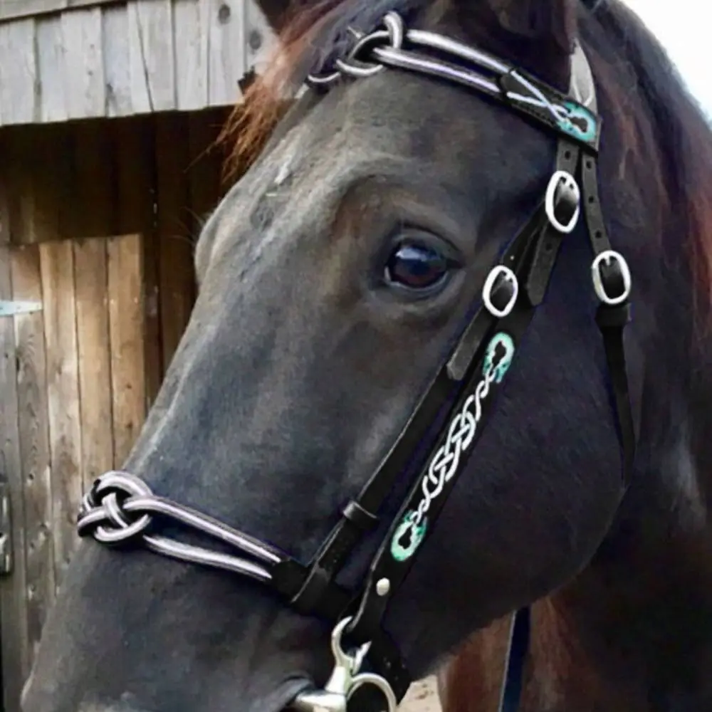 PU Leather Horses Bridle Halters horse riding equipment horse riding halter Metal Buckle Comfortable Horse Head Curtain Adjustable Protecting Horse Skin Rein Harness