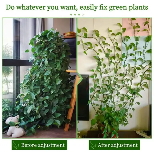 Növényi Hegymászó Fali Rögzítő Klipek 30 Db Állati Alak Ragasztó Zöld Csomagolás - Image 3