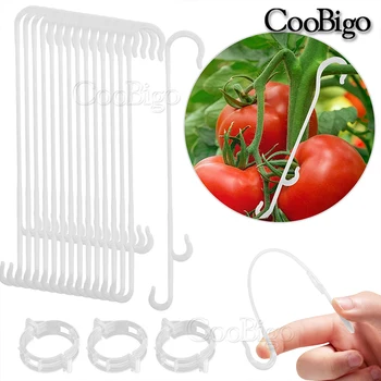 Tomato J Hook Clips 1