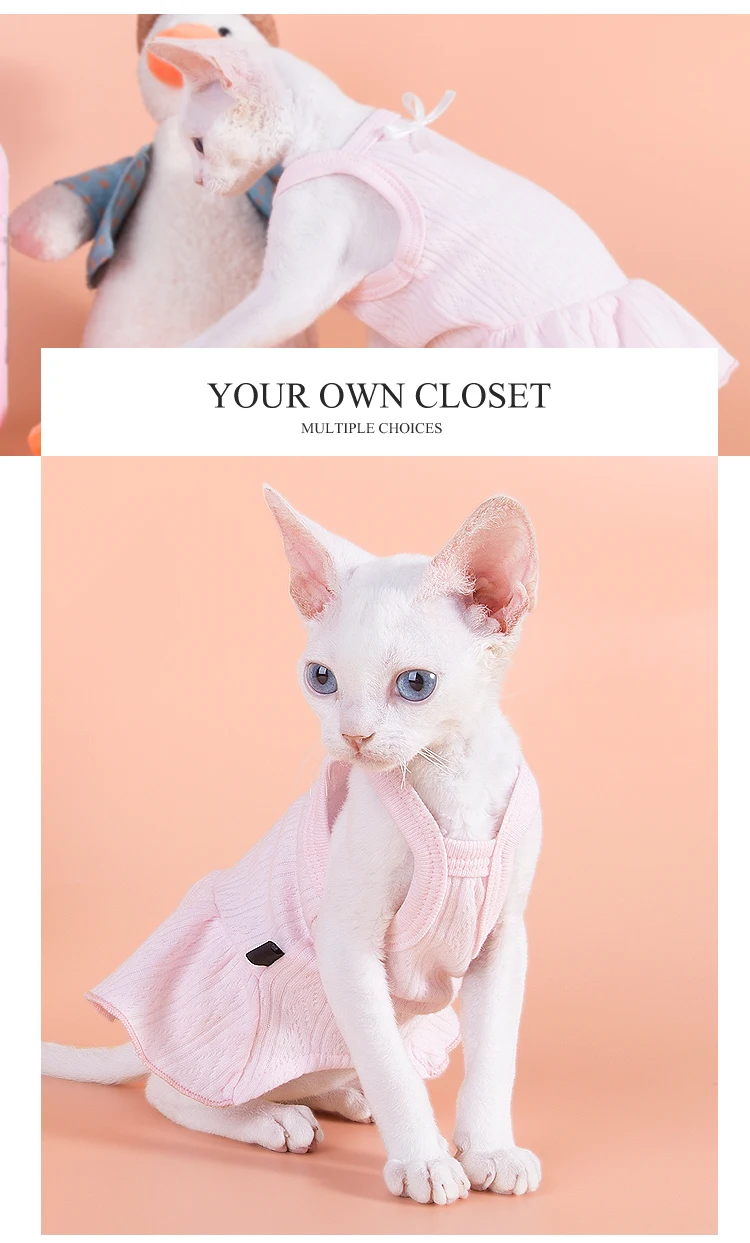 kitten clothes