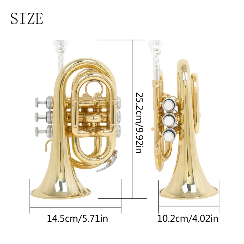 

Brass Trumpet Set Flat Trumpet with Carrying Case, Gloves, Cleaning Tool Student Trumpet Wind Instrument E56D