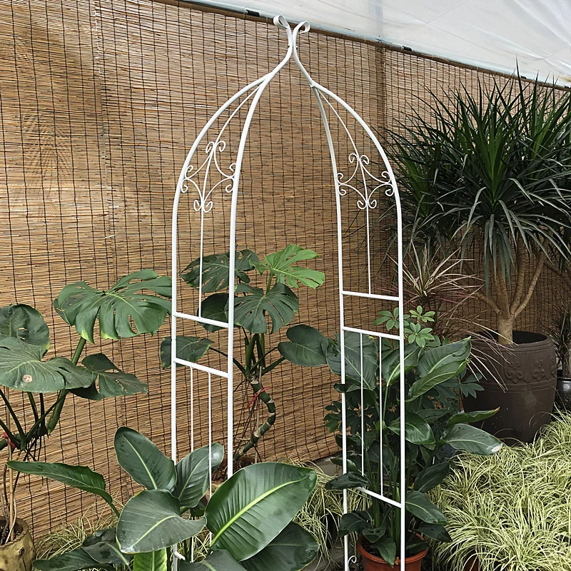

Wrought iron grape rack Steel pipe Clematis Rose Arch Flower rack Climbing vine rack Arch climbing Plant bracket Outdoor
