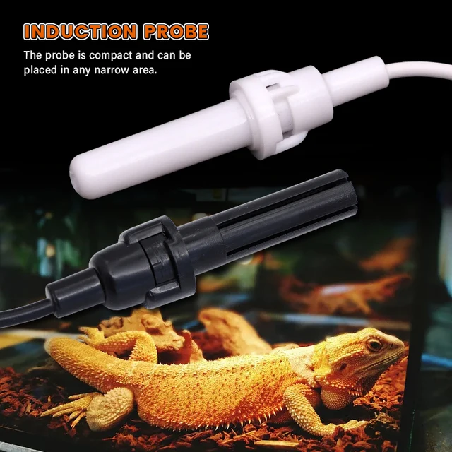 Digital Beehive Thermometer & Hygrometer for checking Temp & Humidity - Image 5