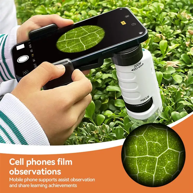 educacional portátil bolso microscópio com luz led