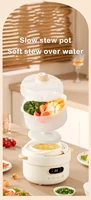 DMWD 1L Electric Slow Cooker Warer Stew Baby Porridge Ceramic Cooking Pot Soup BirdsNest Food Eggs Steamer Breakfast Machine 2