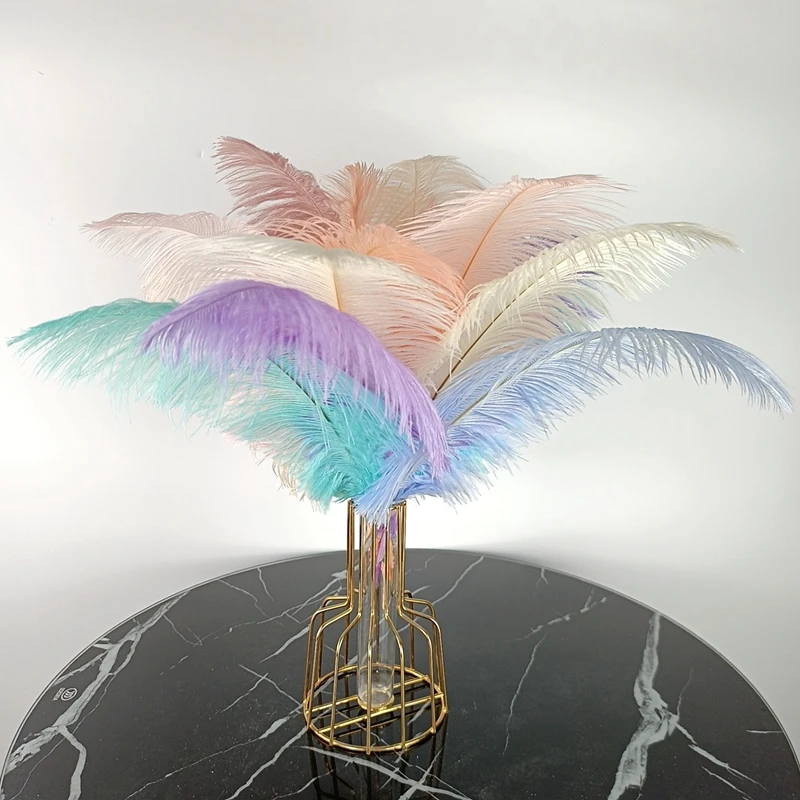  10 unidades por lote de plumas de avestruz de colores para  manualidades, decoración de plumas blancas y negras, centros de mesa,  joyería, manualidades, decoración, naranja, 22-24 pulgadas : Arte y  Manualidades